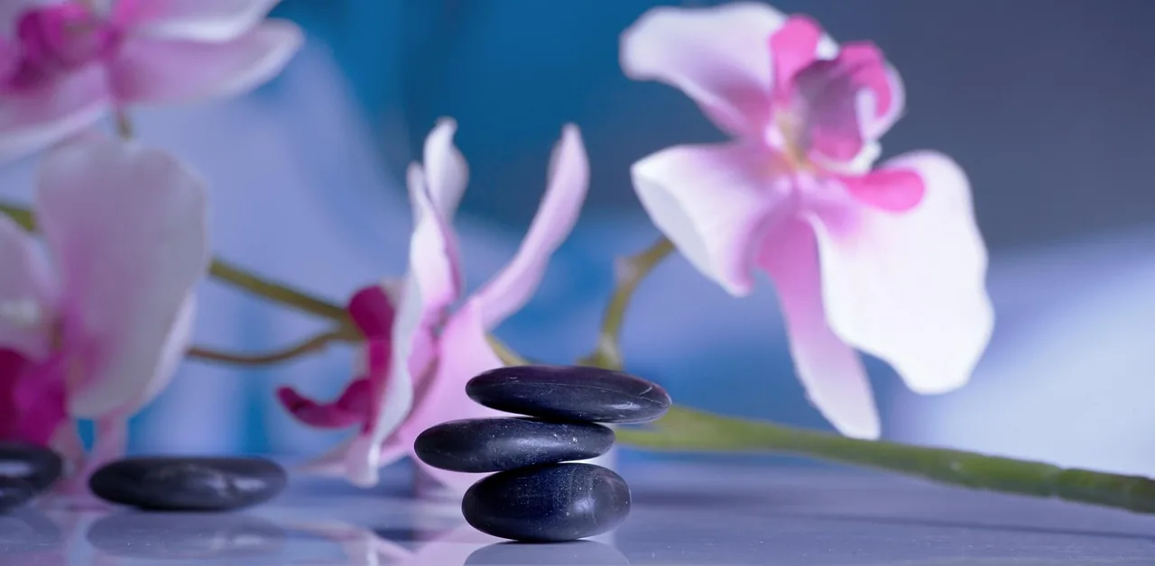 Massage table in a soothing practice, decorated with an orchid and folded towels