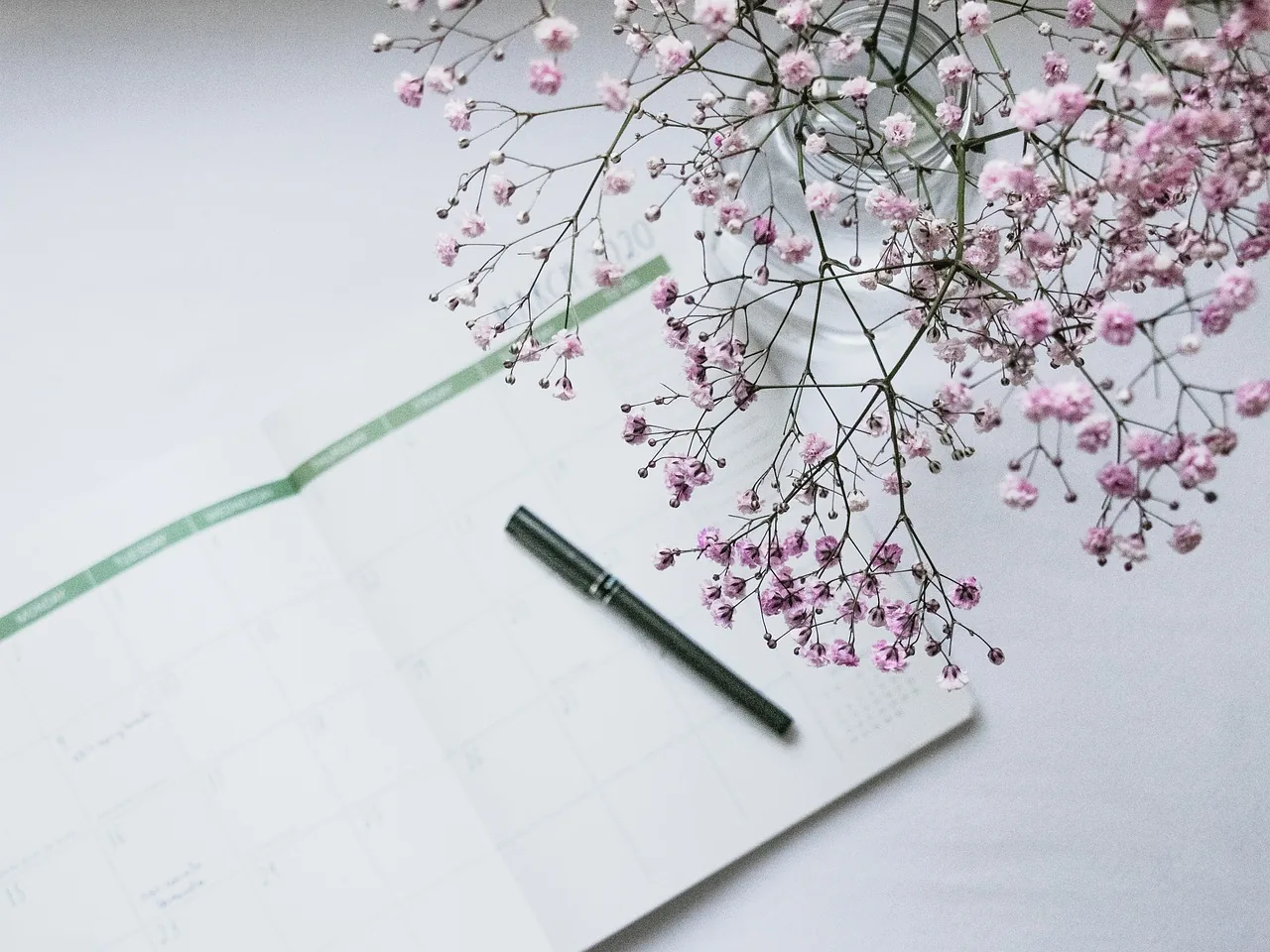 Open diary and pen on a desk, with a flowering branch
