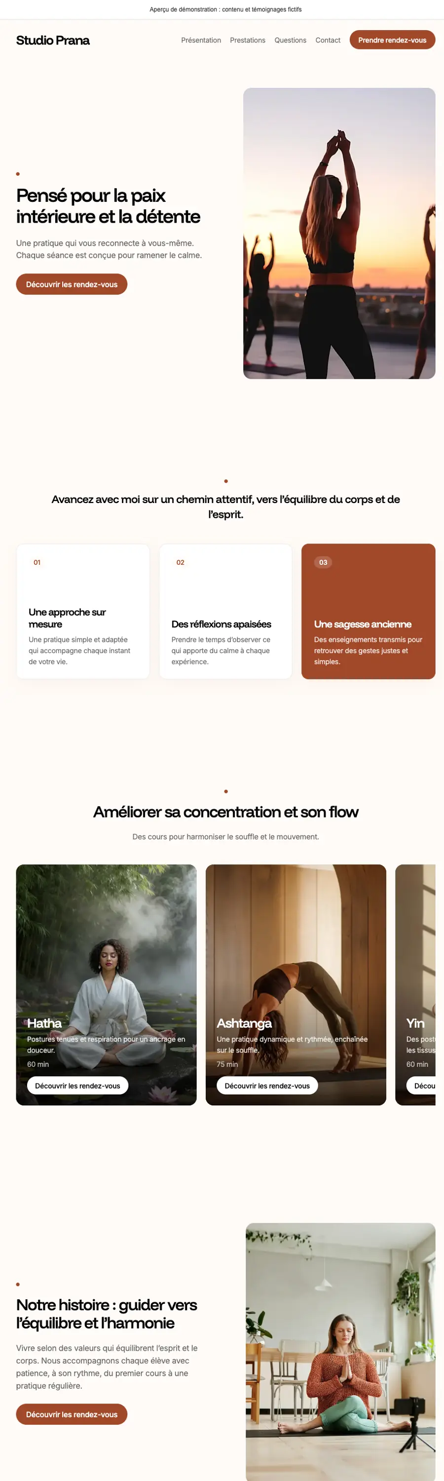 Website preview with the Prana theme